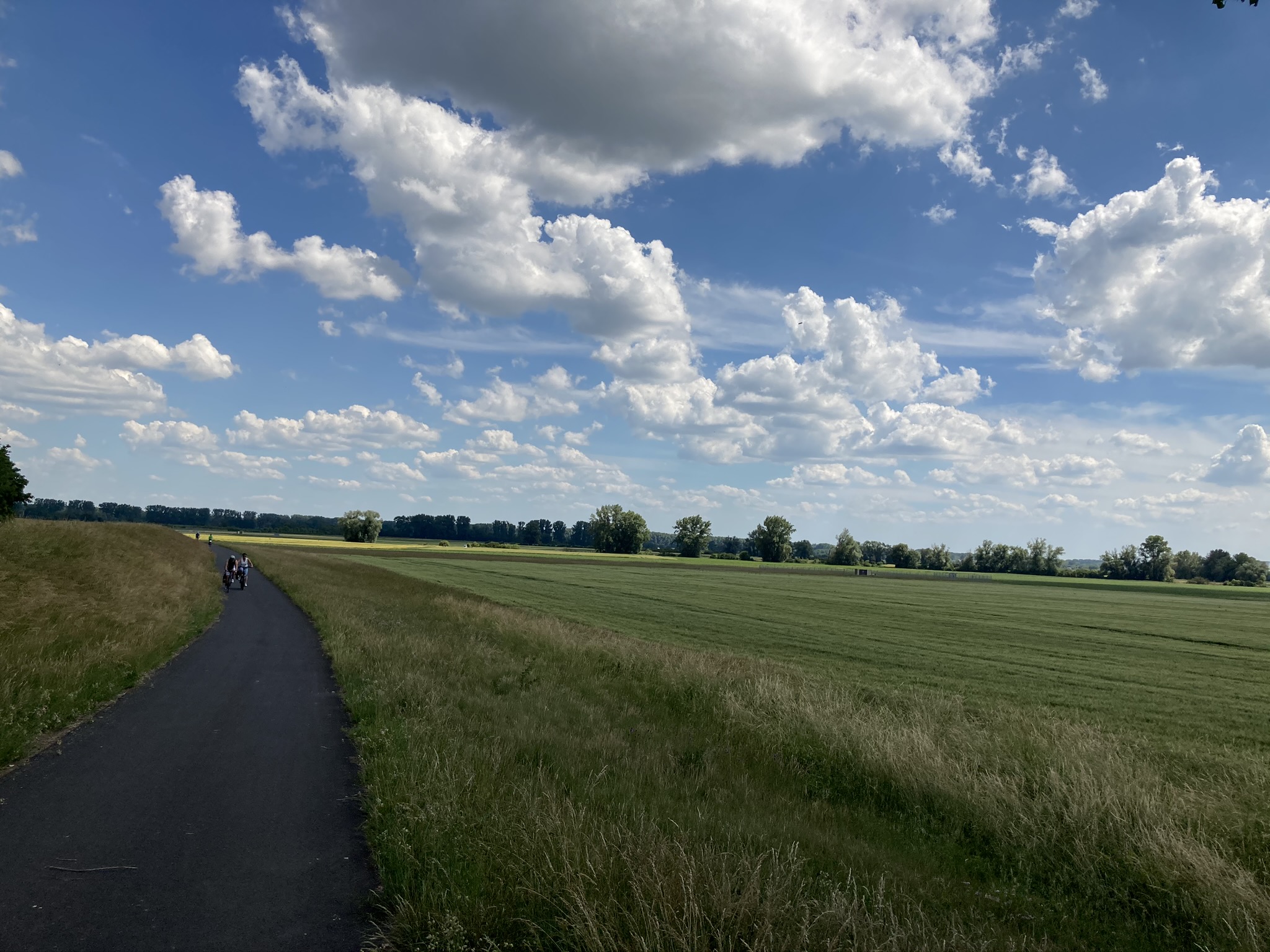 A bike path next to fields