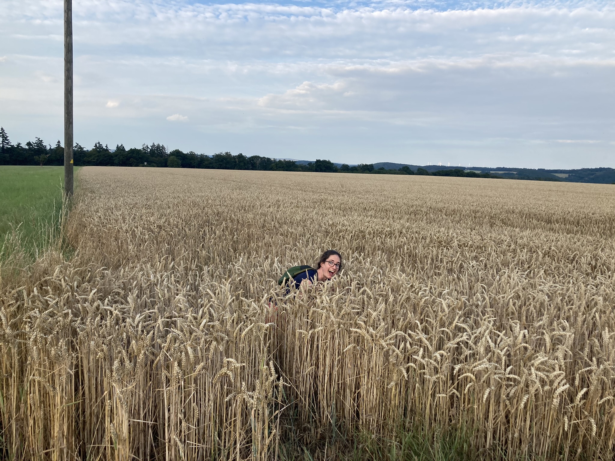 Deva in the wheat field